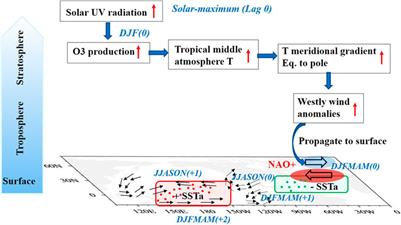 Modulation of the solar activity on the connection between the NAO and the tropical pacific SST variability